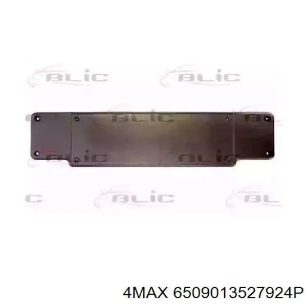 Панель крепления номерного знака переднего 4max 6509013527924P
