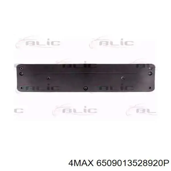 Панель крепления номерного знака переднего 4max 6509013528920P