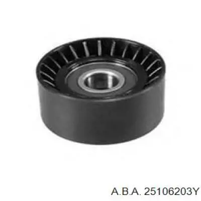 25106203Y A.b.a.