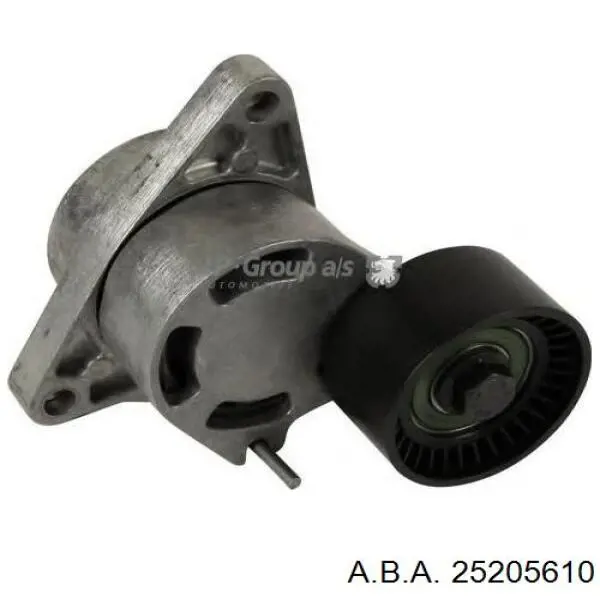 25205610 A.b.a.