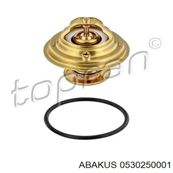 Купить DT1036V Dayco Автомобильный термостат