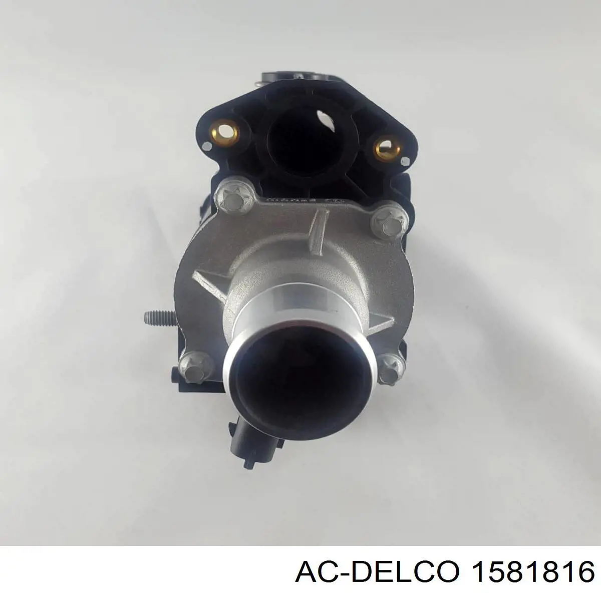 Кожух термостата General Motors 1581816 цена, от 40.19 USD