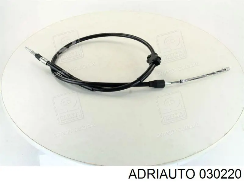 030220 Adriauto