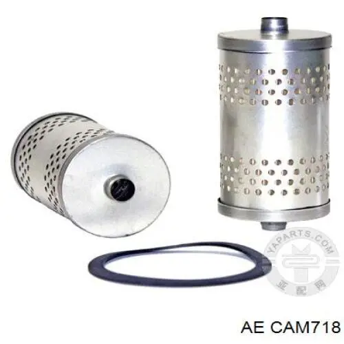 Распределительный вал двигателя AE CAM718 цена, от 132.22 USD