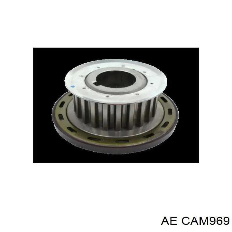 Распределительный вал двигателя AE CAM969 цена, от 134.65 USD