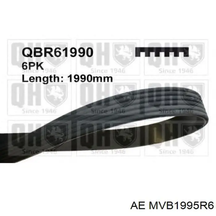 MVB1995R6 AE