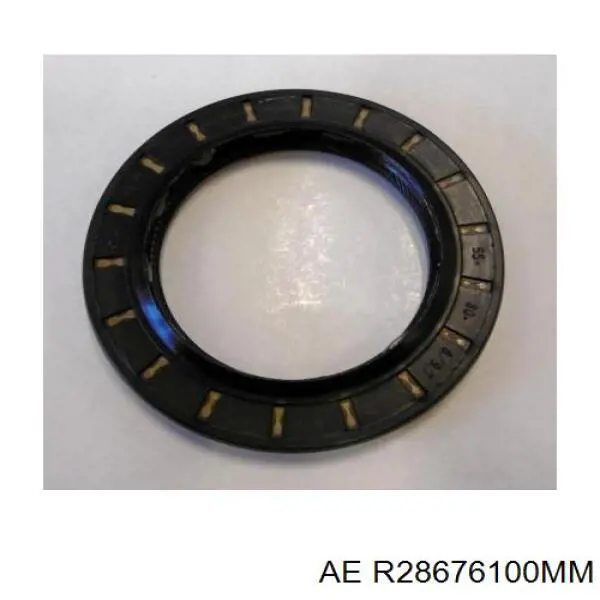 R28676100MM AE кольца поршневые комплект на мотор, 4-й ремонт (+1,00)