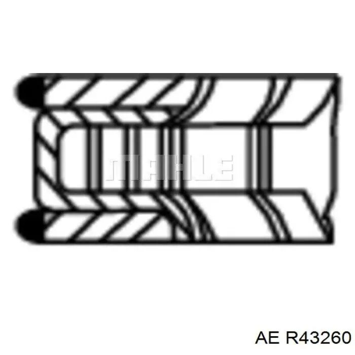 793534004 SM Комплект поршневых колец, STD