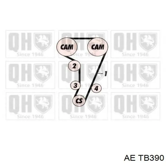 Correa distribución TB390 AE