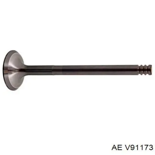 V91173 AE Впускной клапан