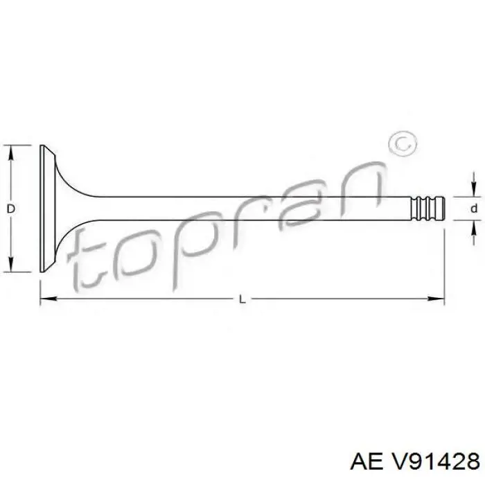 V91428 AE