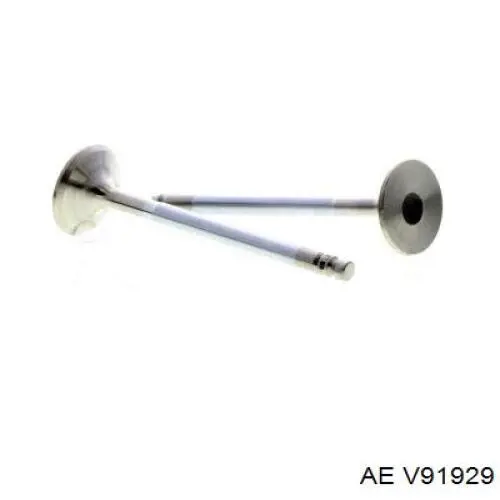 Купить Впускной клапан Фиат Альбеа  172