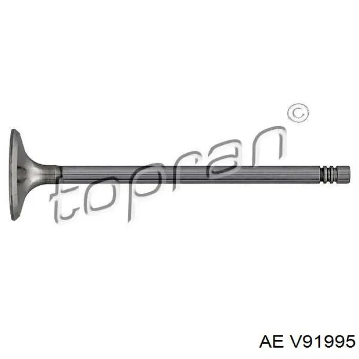 Впускной клапан V91995 AE