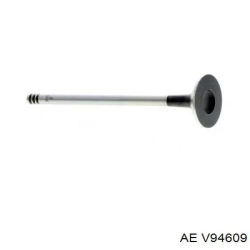 Выпускной клапан V94609 AE