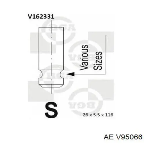 V95066 AE Выхлопной клапан