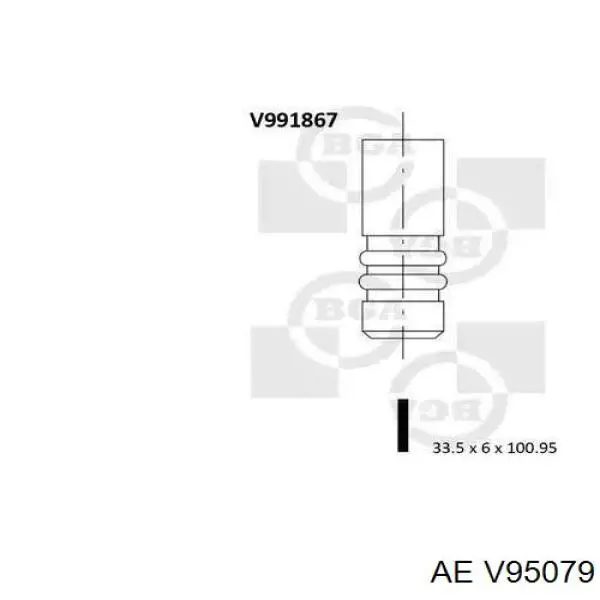 Впускной клапан V95079 AE