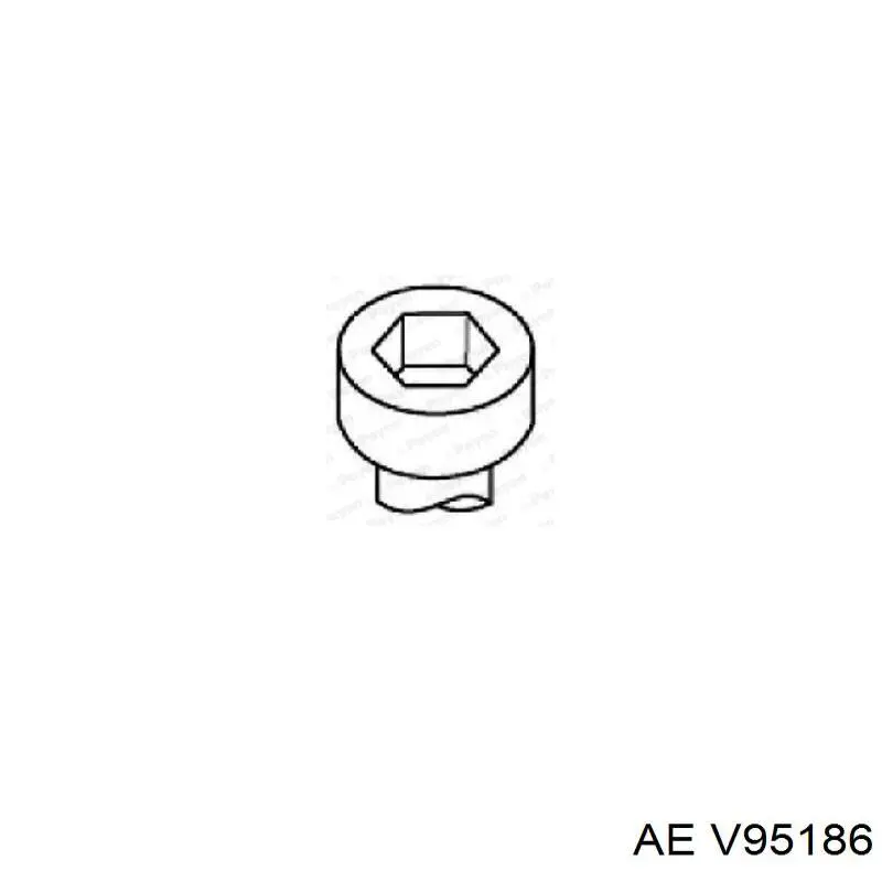 V95186 AE válvula de admissão