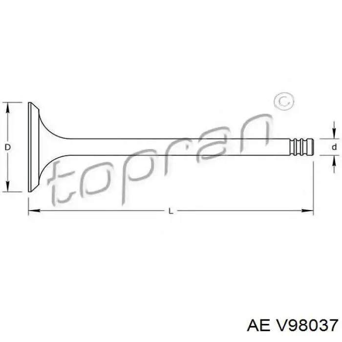 V98037 AE Выхлопной клапан