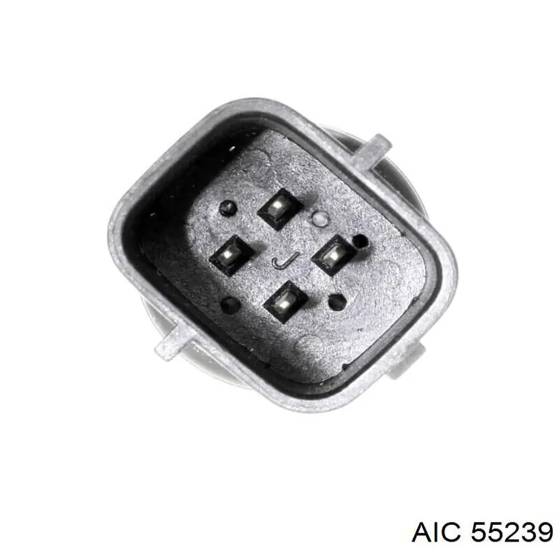 55239 AIC