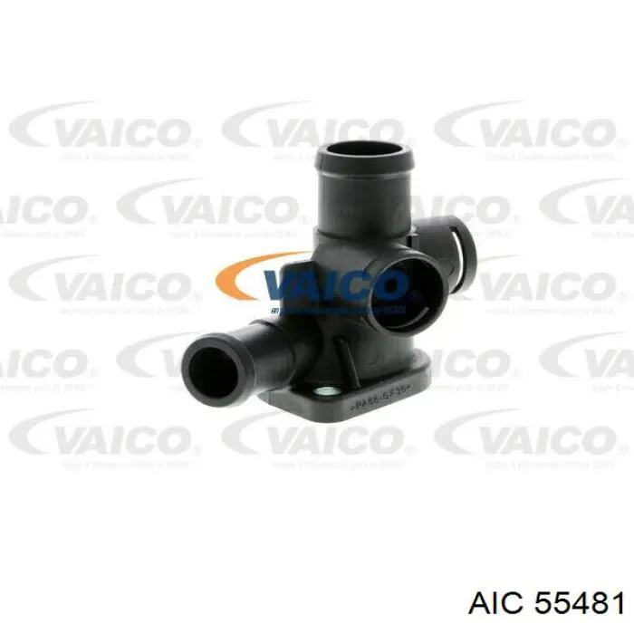 55481 AIC