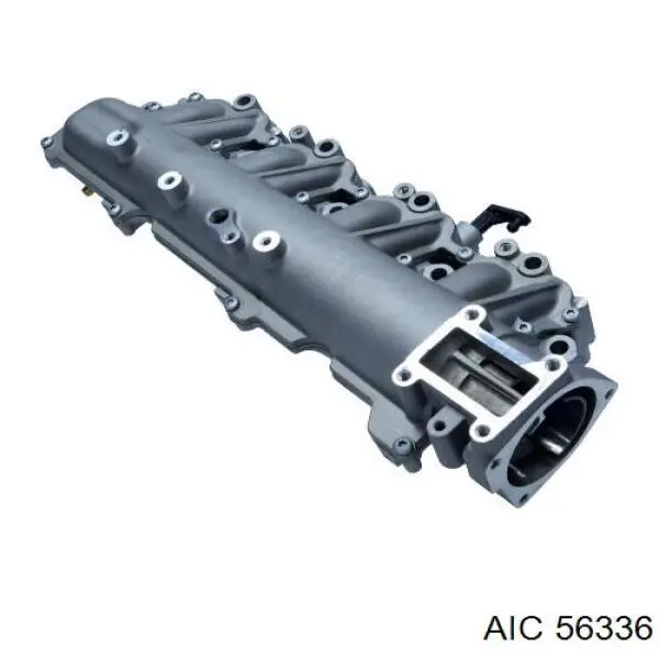56336 AIC 