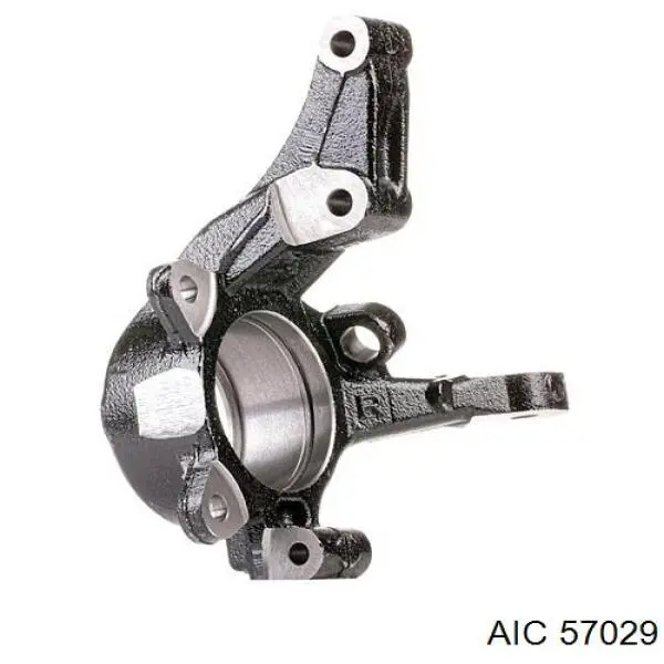 Цапфа (поворотный кулак) передний левый AIC 57029 цена, от 51.61 USD