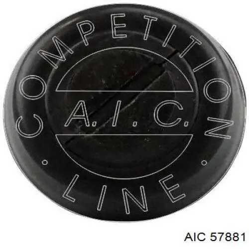 57881 AIC