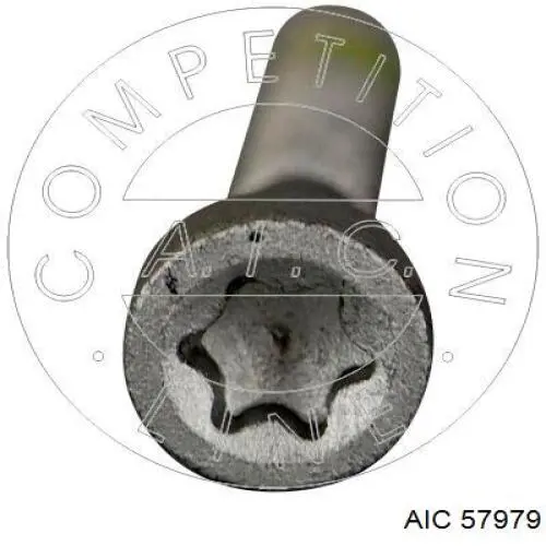 Болт крепления форсунки AIC 57979 цена, от 1.34 USD