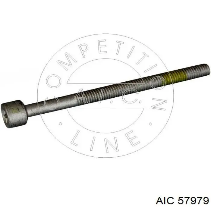 Болт крепления форсунки 57979 AIC