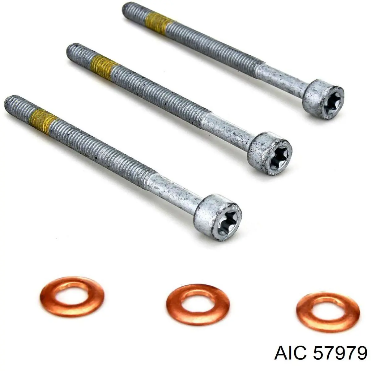 Купить 57979 AIC Болт крепления форсунки