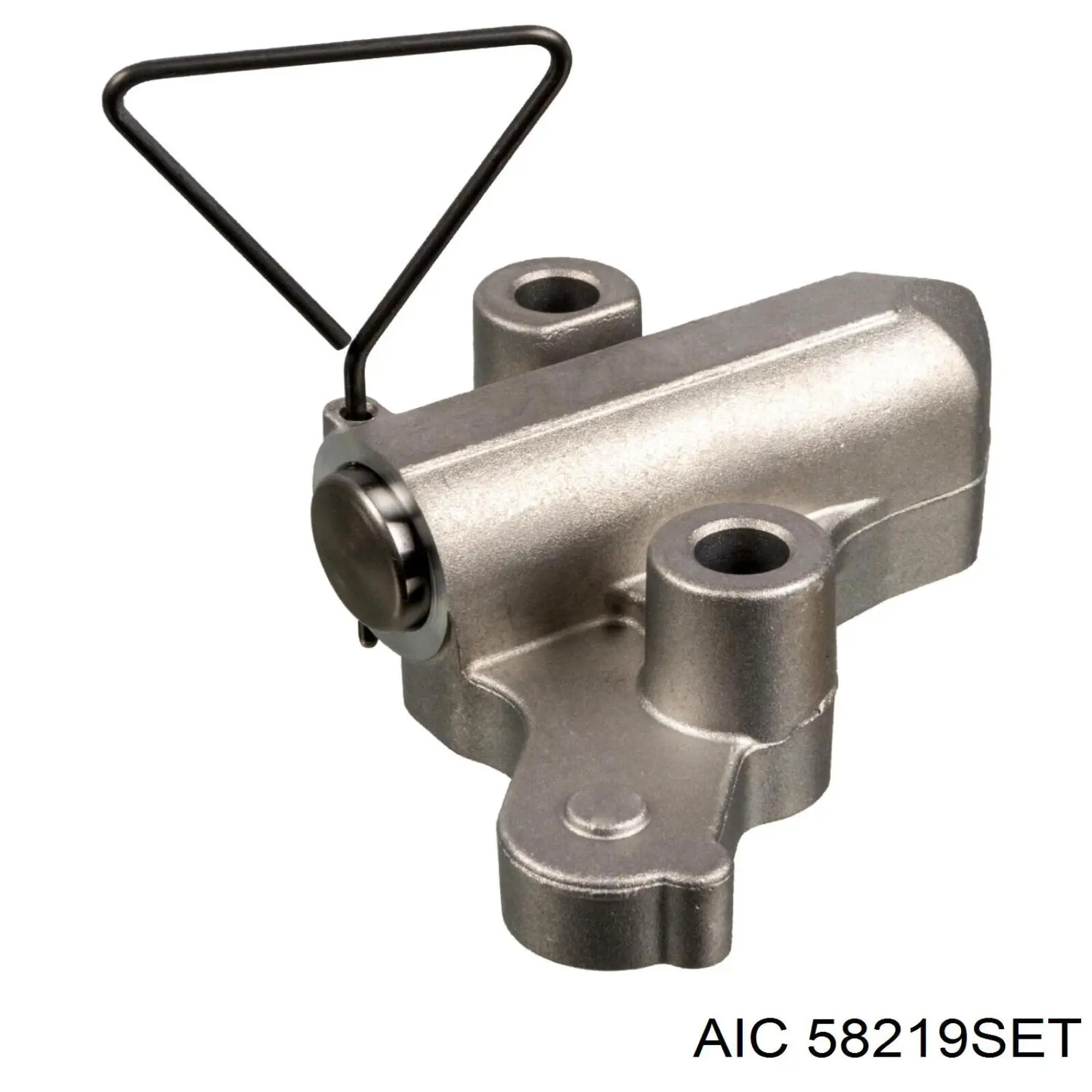 Комплект цепи ГРМ 58219SET AIC