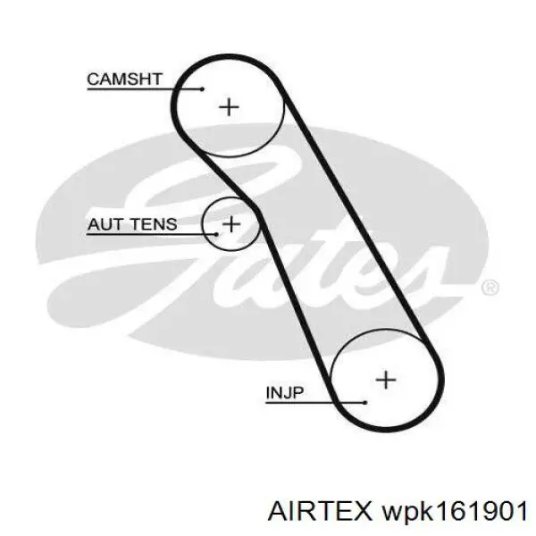 wpk161901 AIRTEX Комплект ГРМ wpk161901 AIRTEX