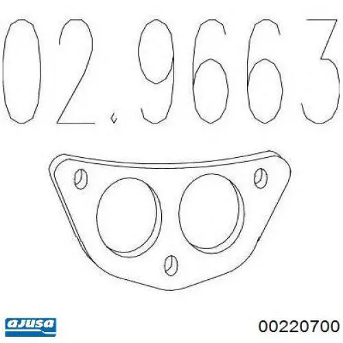 00220700 Ajusa