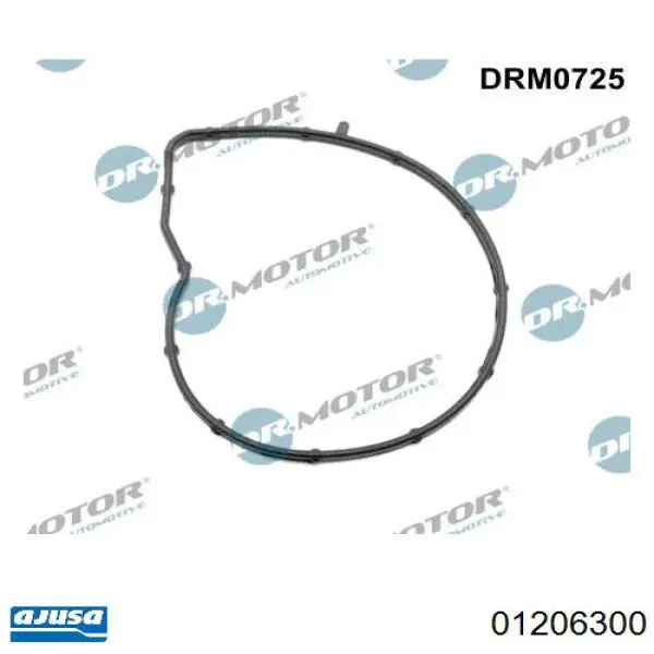 Прокладка помпы Peugeot/Citroen 1206E8