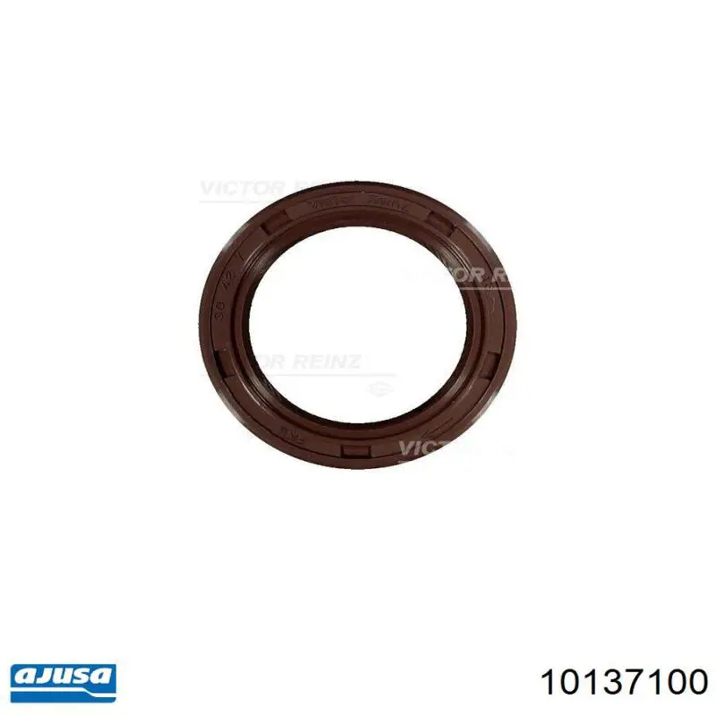 Прокладка головки блока цилиндров Fiat/Alfa/Lancia 55189964