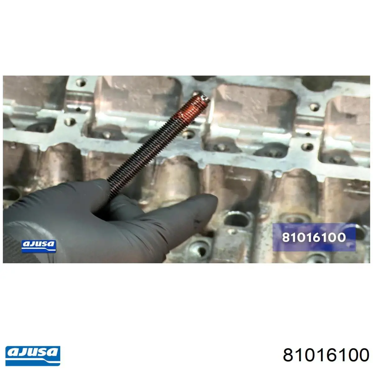 Купить 81016100 Ajusa Болт ГБЦ