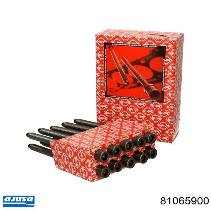 Болт головки блока цилиндров, ГБЦ Ajusa 81065900 цена, от 9.39 USD