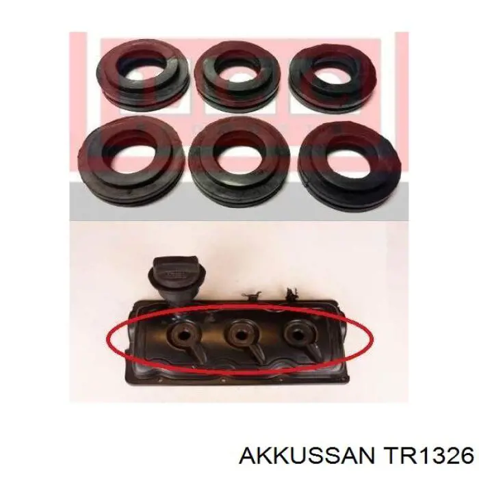 TR1326 Akkussan прокладка клапанной крышки