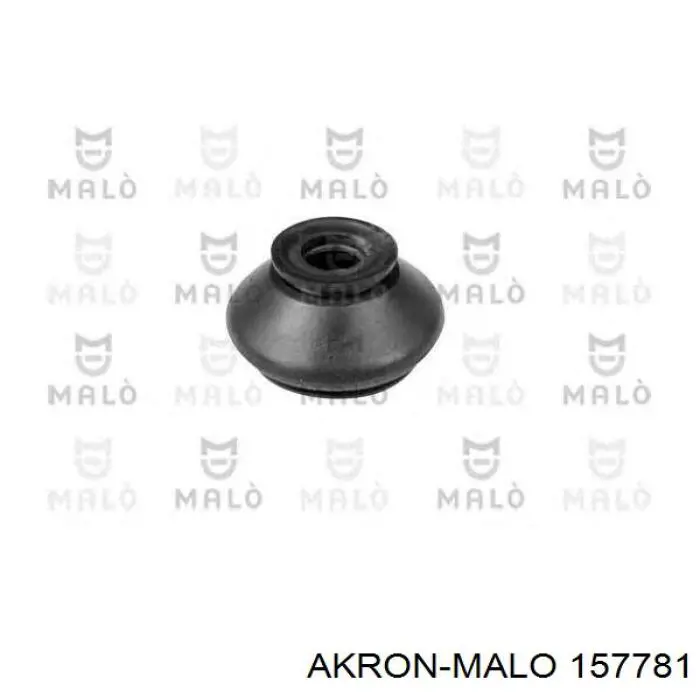 157781 Akron Malo