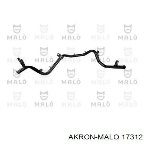  17312 Akron Malo