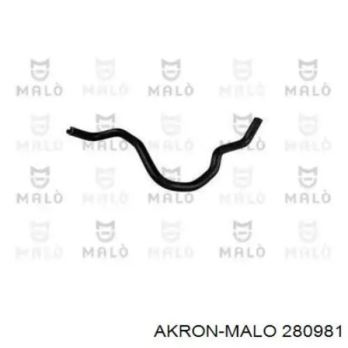  280981 Akron Malo