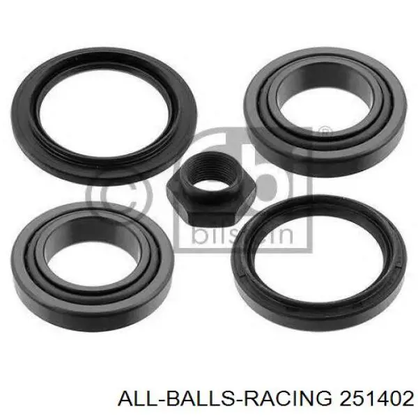 251402 ALL Balls Racing 