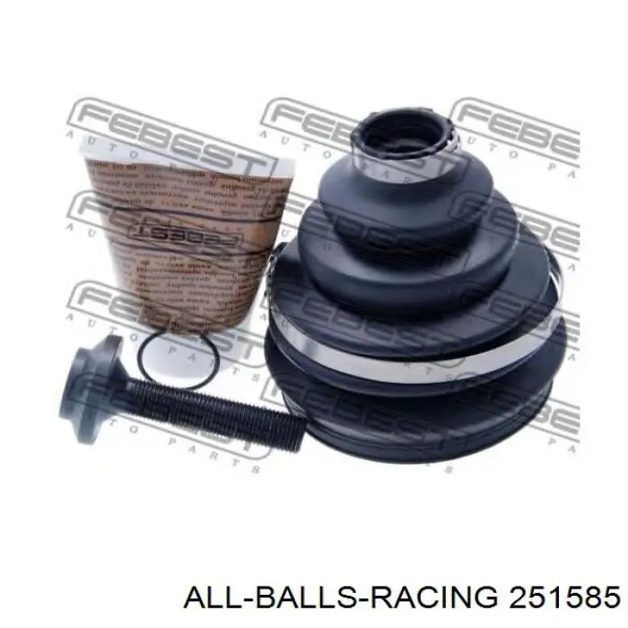 251585 ALL Balls Racing 