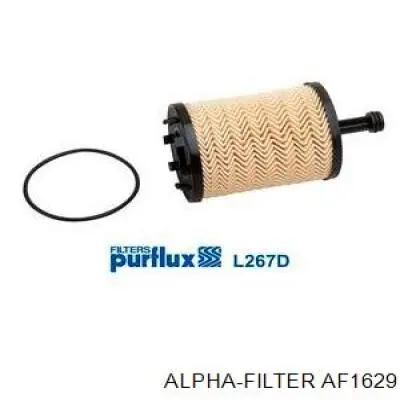 AF1629 Alpha Filter 