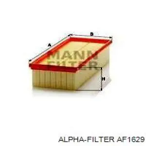 AF1629 Alpha Filter 