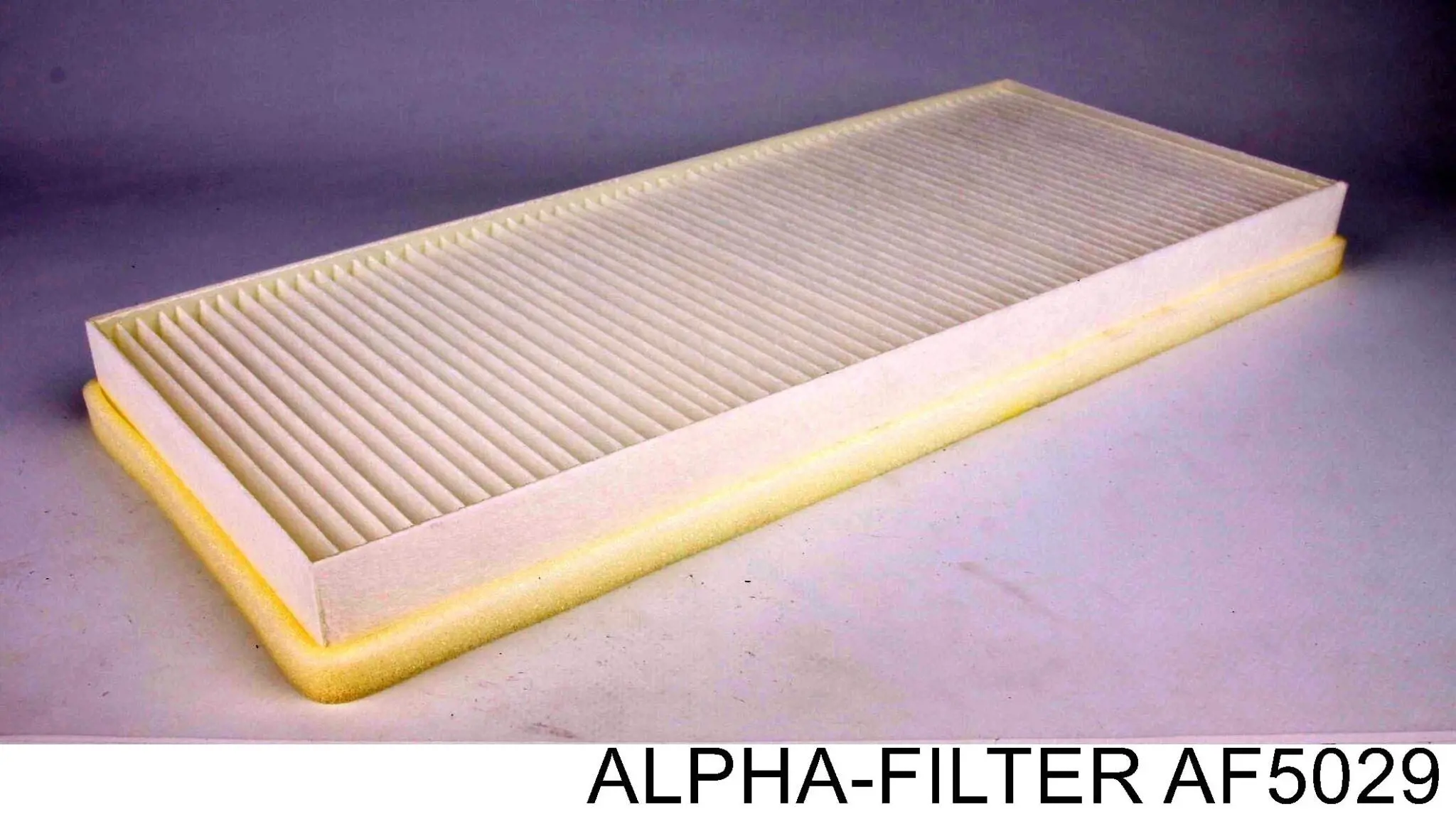 AF5029 Alpha Filter