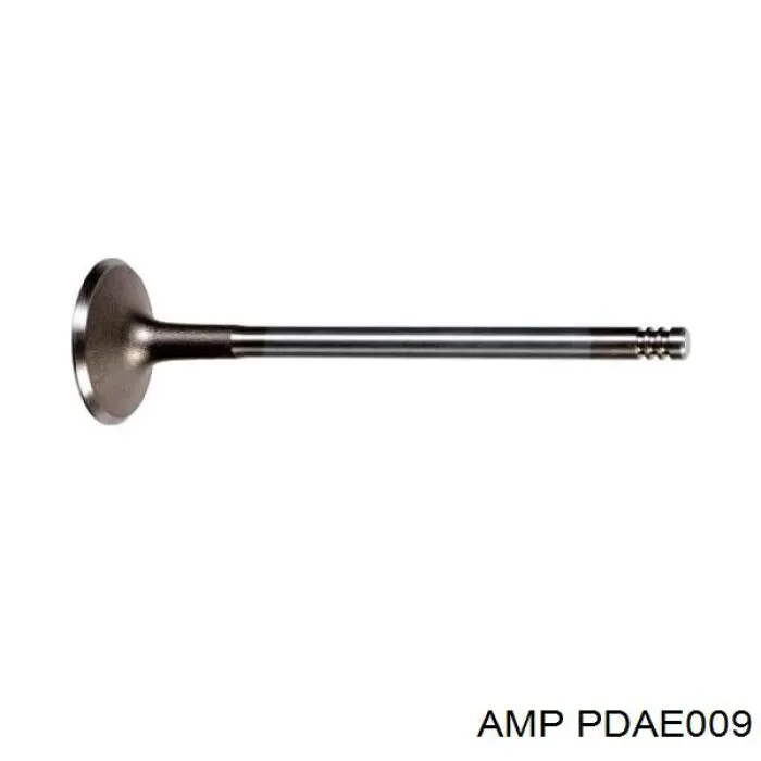 PDAE009 AMP/Paradowscy