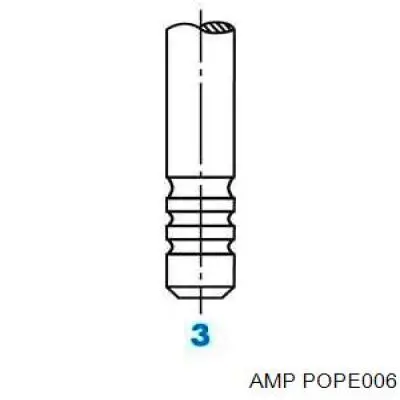 POPE006 AMP/Paradowscy