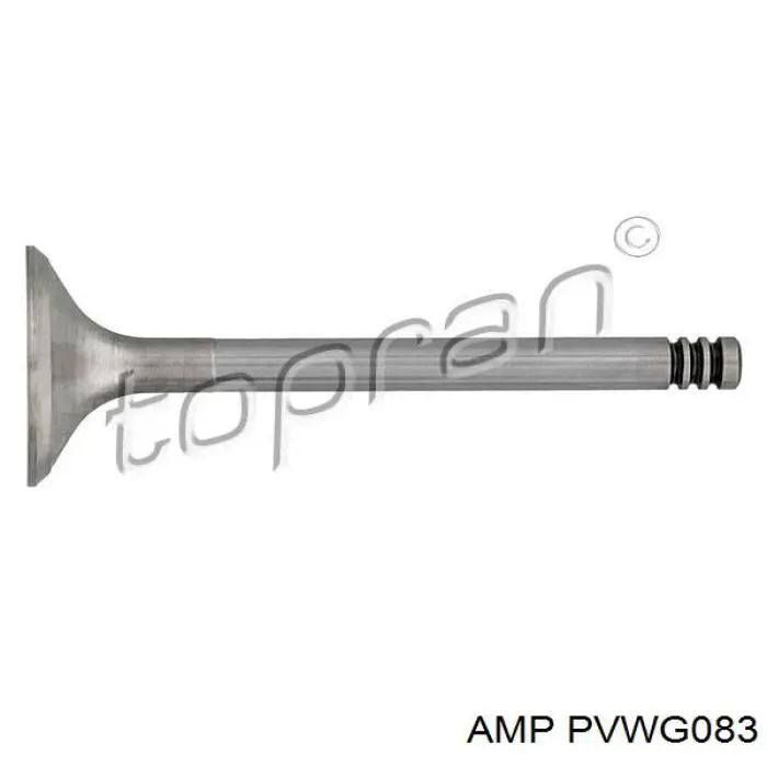 PVWG083 AMP/Paradowscy клапан выпускной