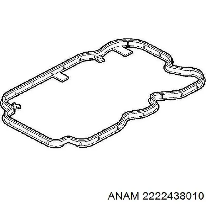 Маслосъемный сальник выпускного клапана 2222438010 Anam